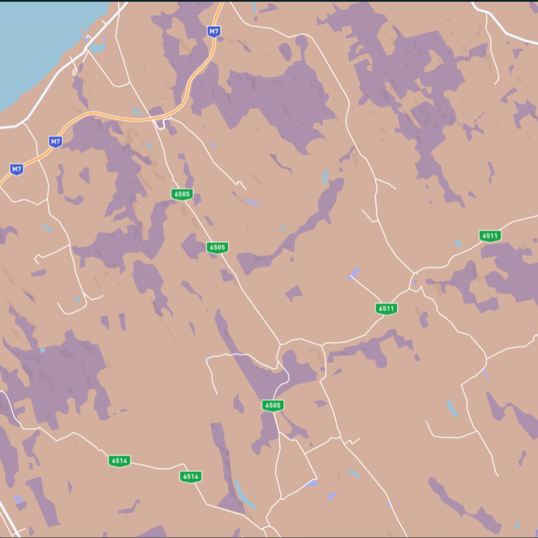 Then I thought maybe I could apply the colors of my home country's flag to the map.